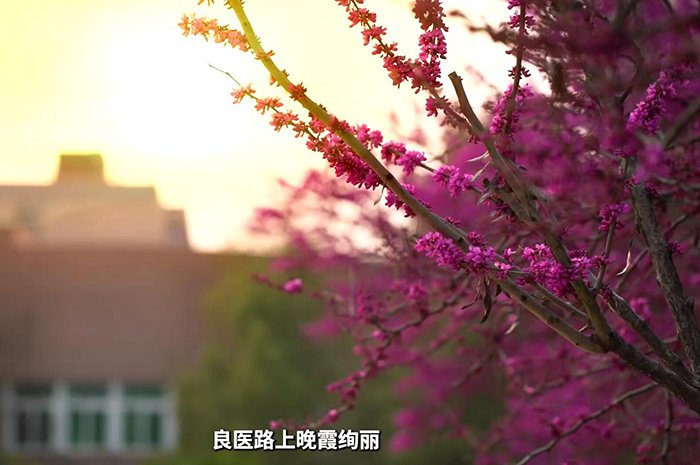省运首金