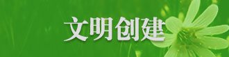 民进安医大基层委开展主题亚投快3实践活动